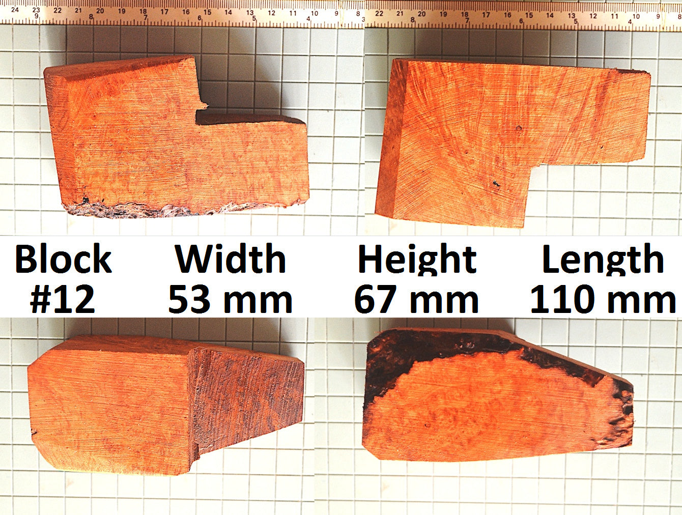 XL BRIAR BLOCKS (PLATEAUX & EBAUCHON)