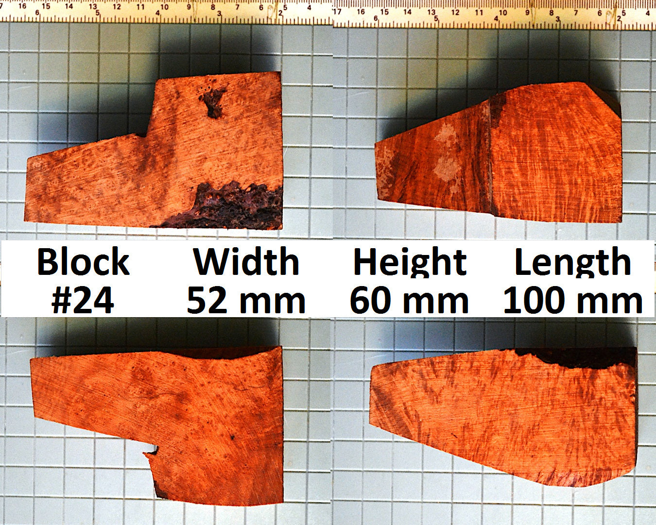 XL BRIAR BLOCKS (PLATEAUX & EBAUCHON)