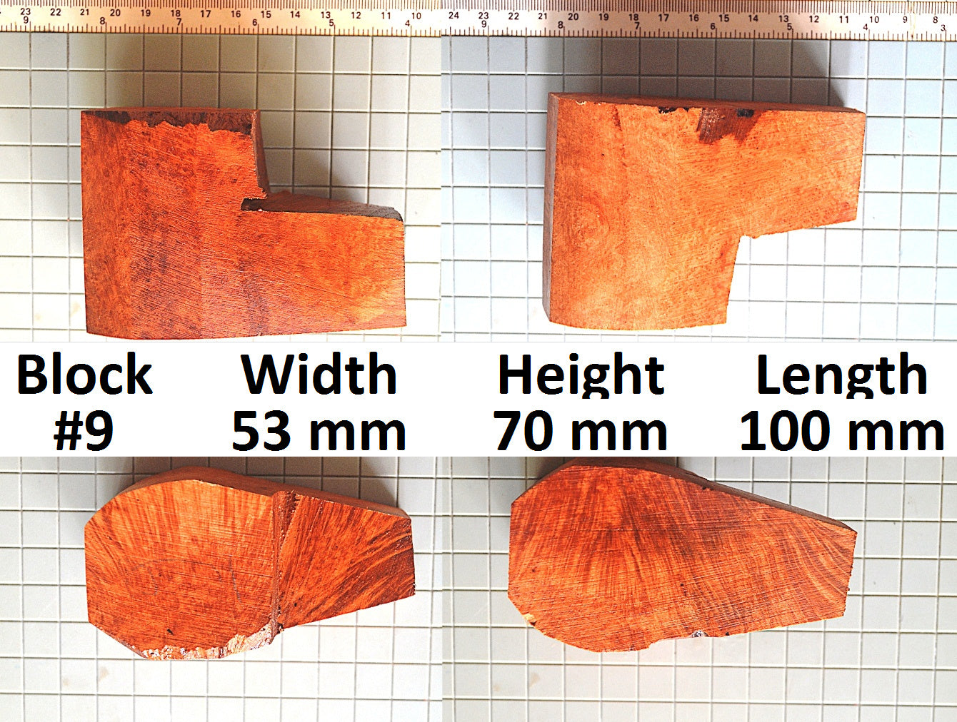 XL BRIAR BLOCKS (PLATEAUX & EBAUCHON)
