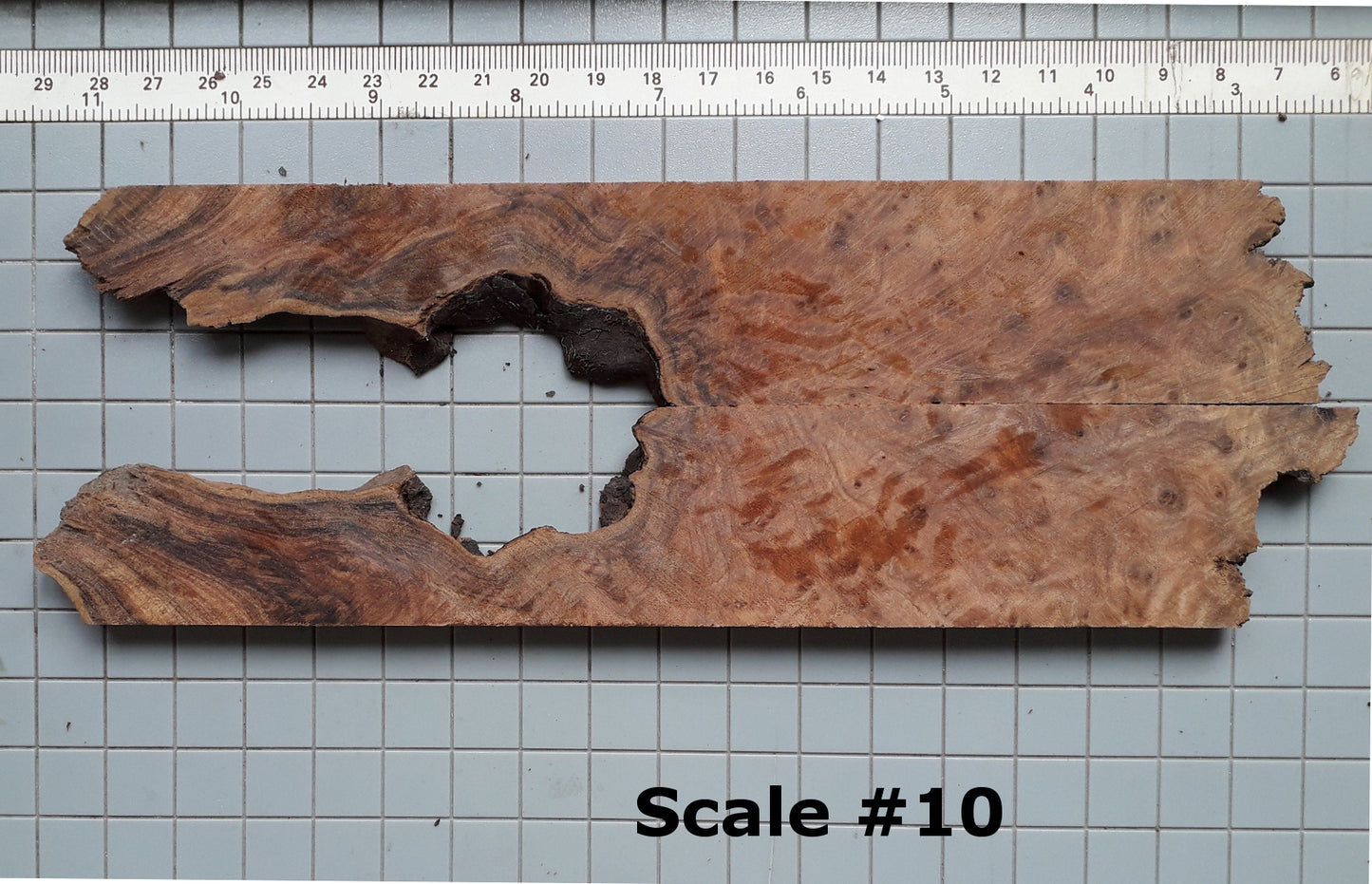 THUJA KNIFE SCALES