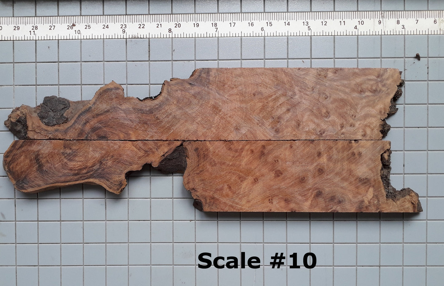 THUJA KNIFE SCALES