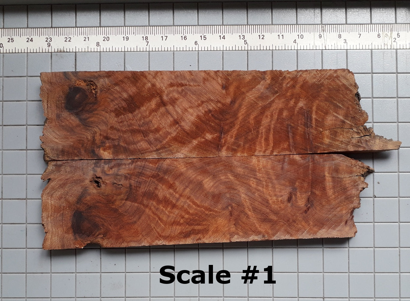 THUJA KNIFE SCALES