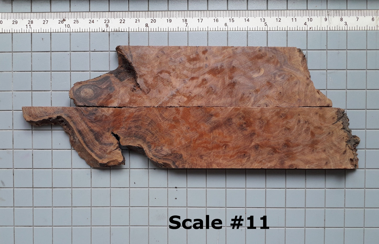 THUJA KNIFE SCALES