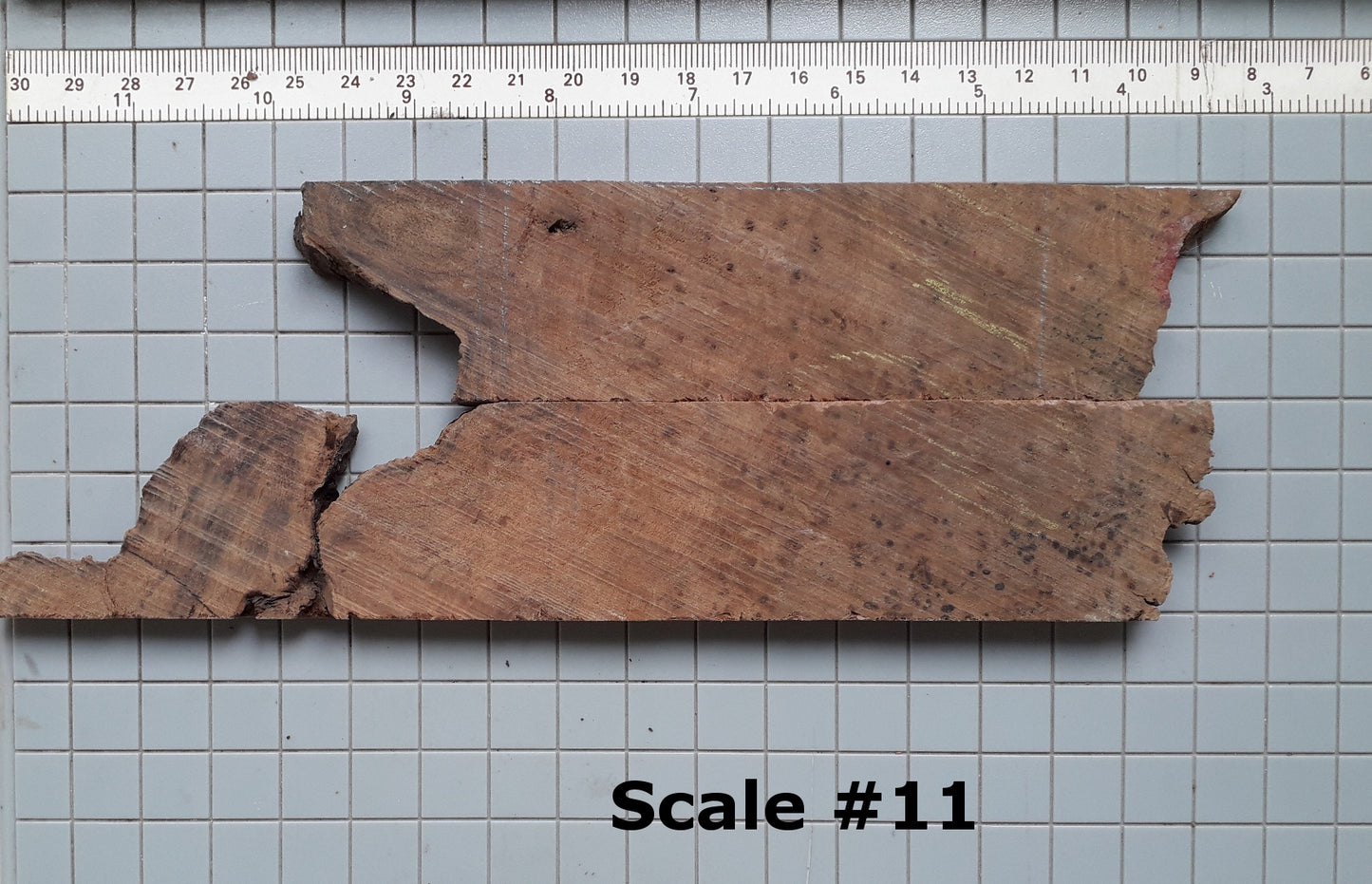 THUJA KNIFE SCALES