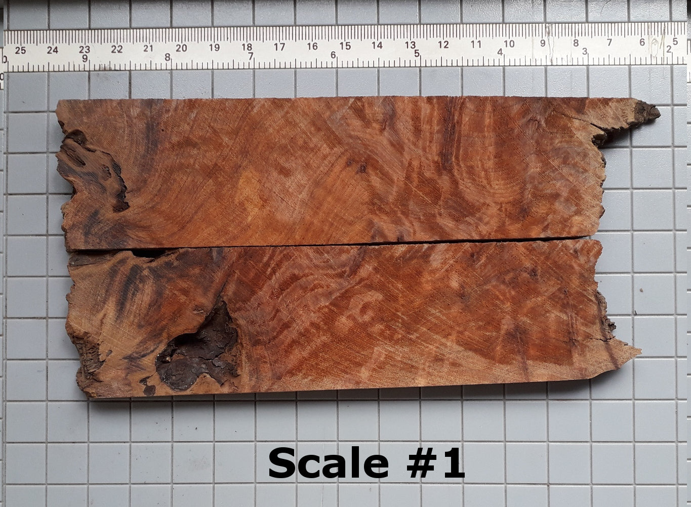 THUJA KNIFE SCALES