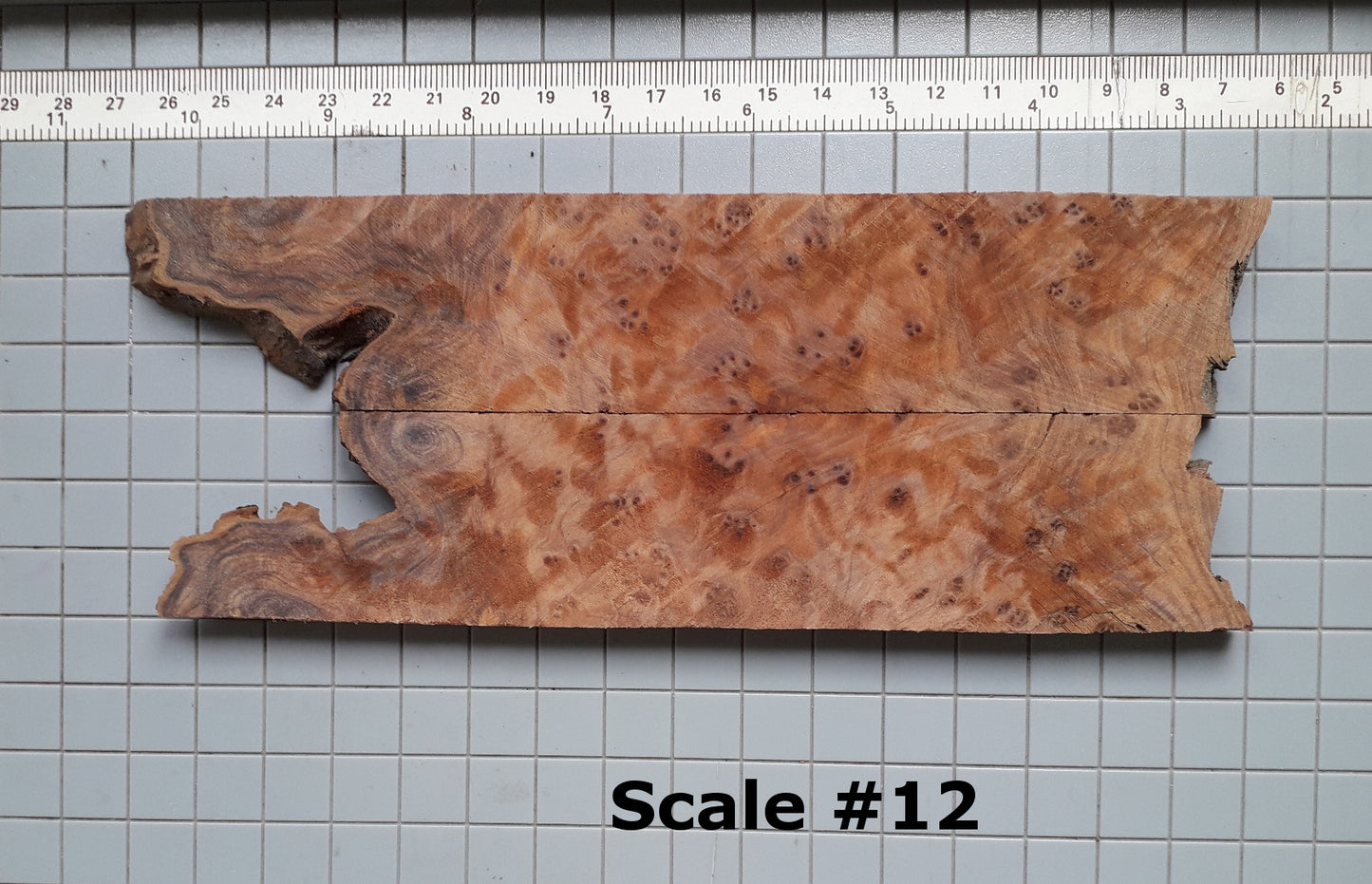 THUJA KNIFE SCALES