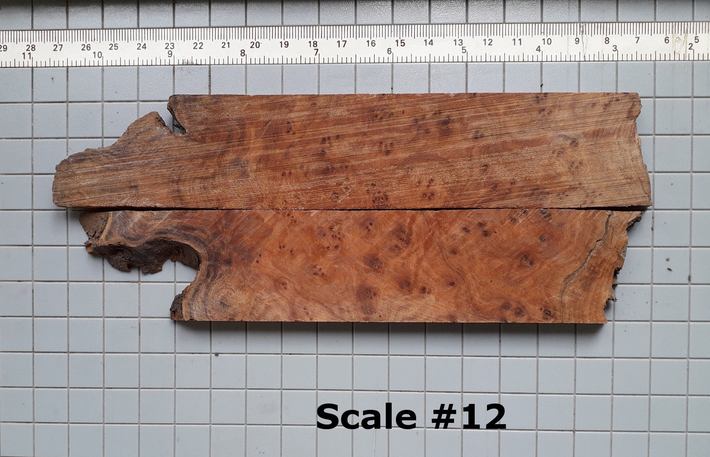 THUJA KNIFE SCALES