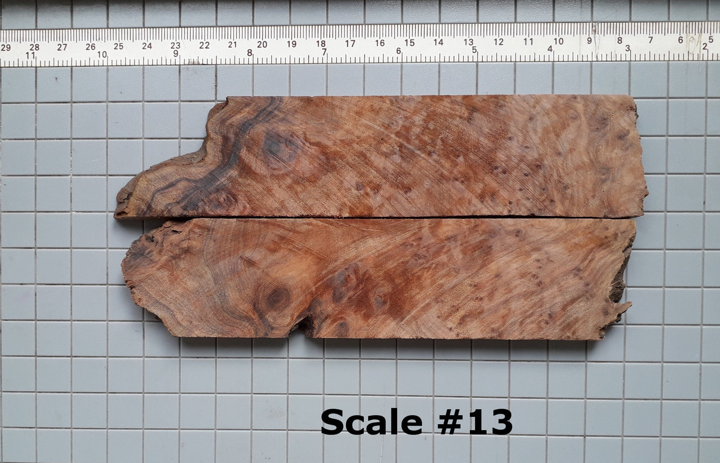 THUJA KNIFE SCALES