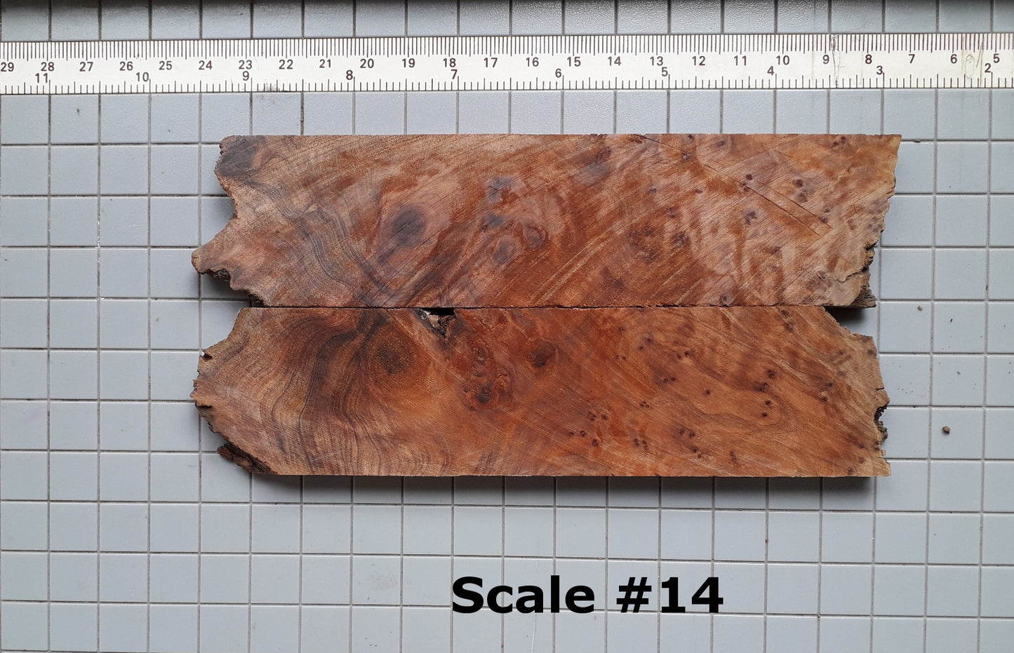 THUJA KNIFE SCALES