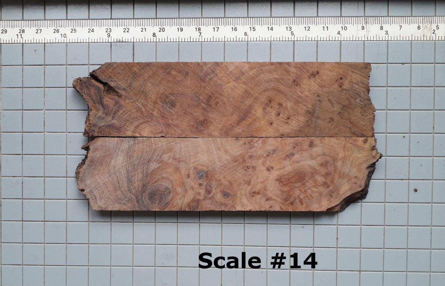 THUJA KNIFE SCALES