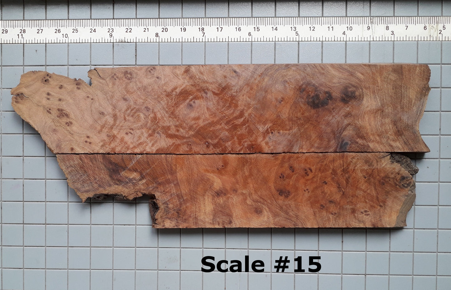 THUJA KNIFE SCALES