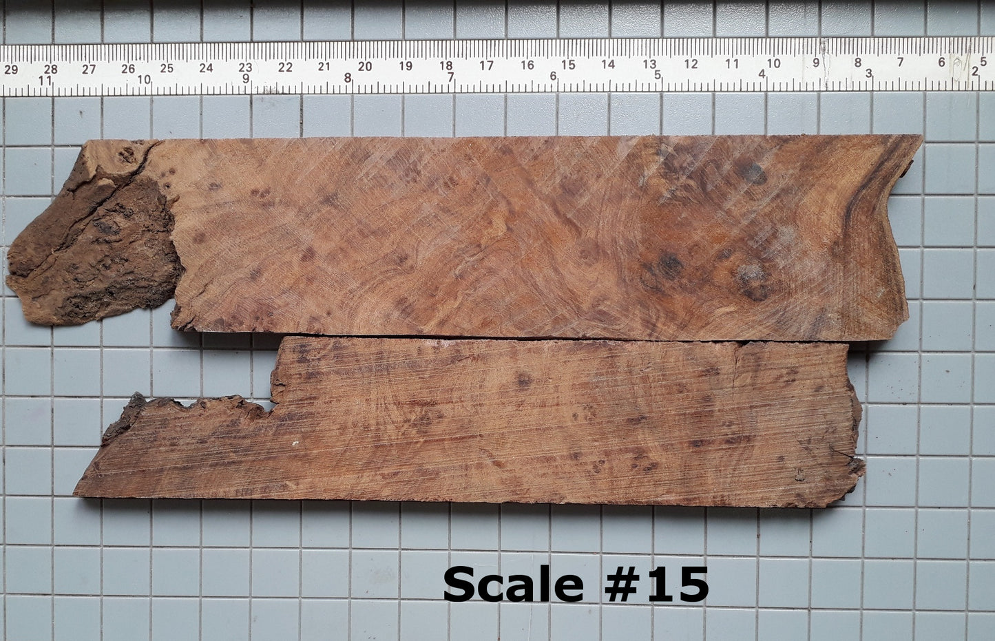 THUJA KNIFE SCALES