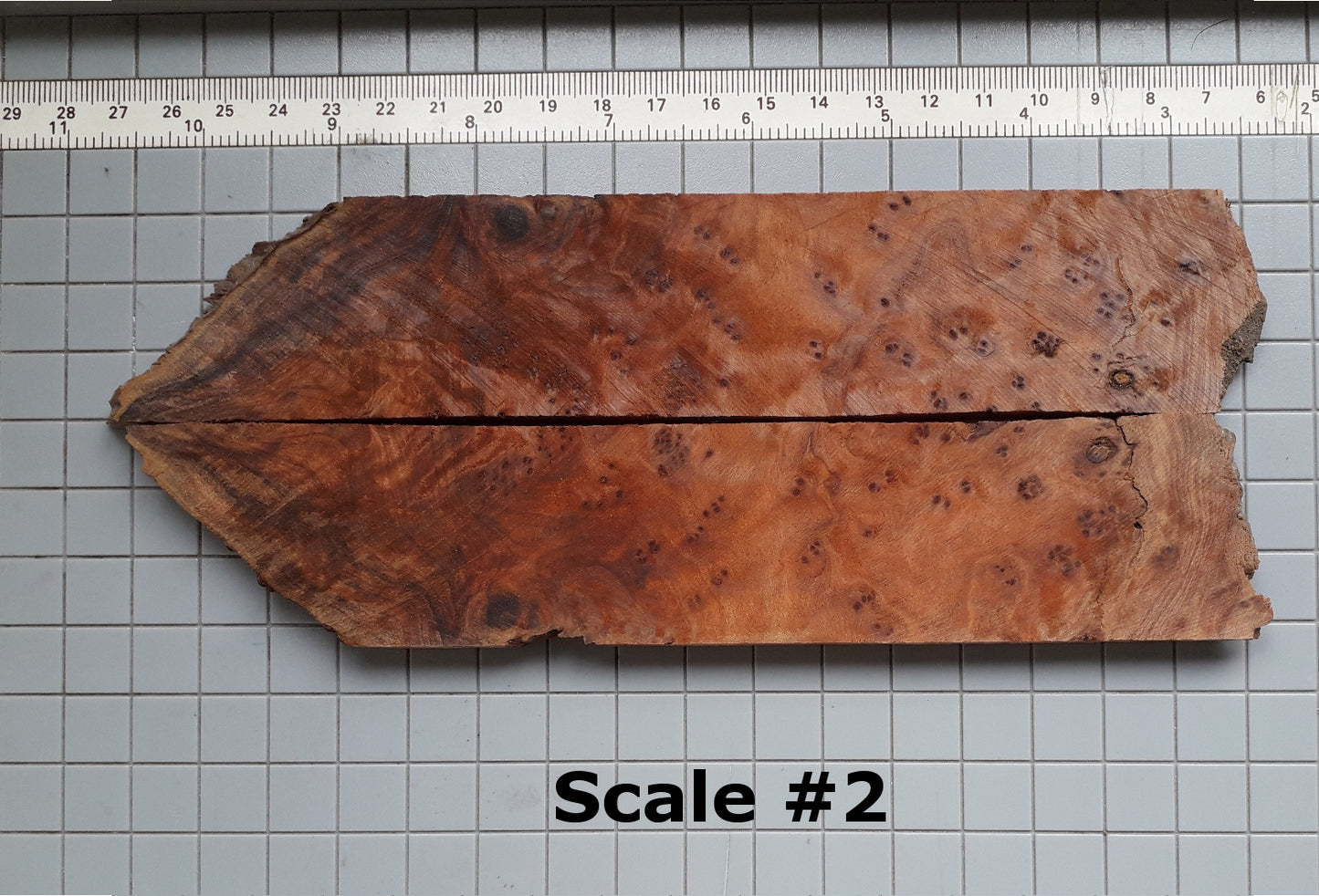 THUJA KNIFE SCALES