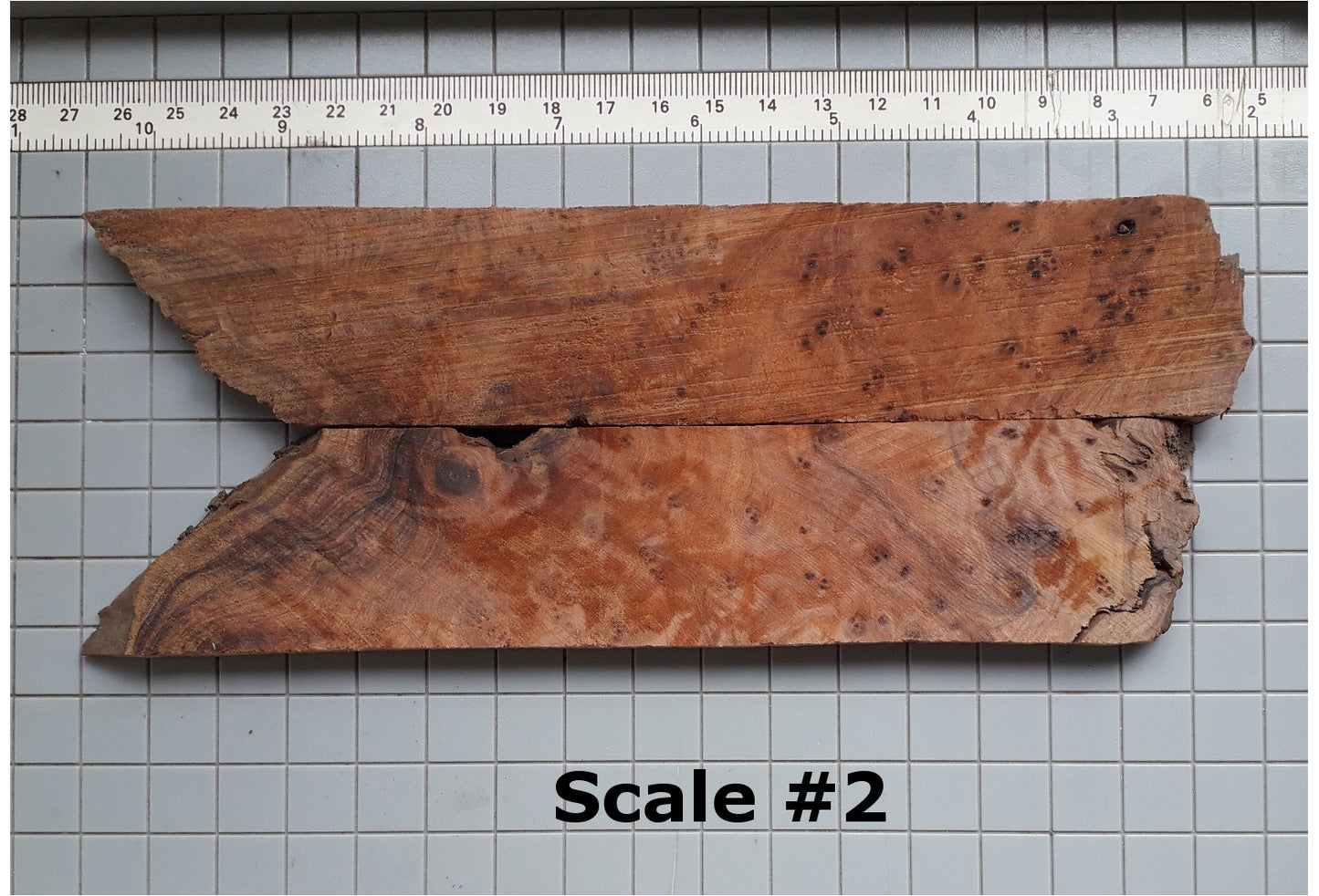 THUJA KNIFE SCALES