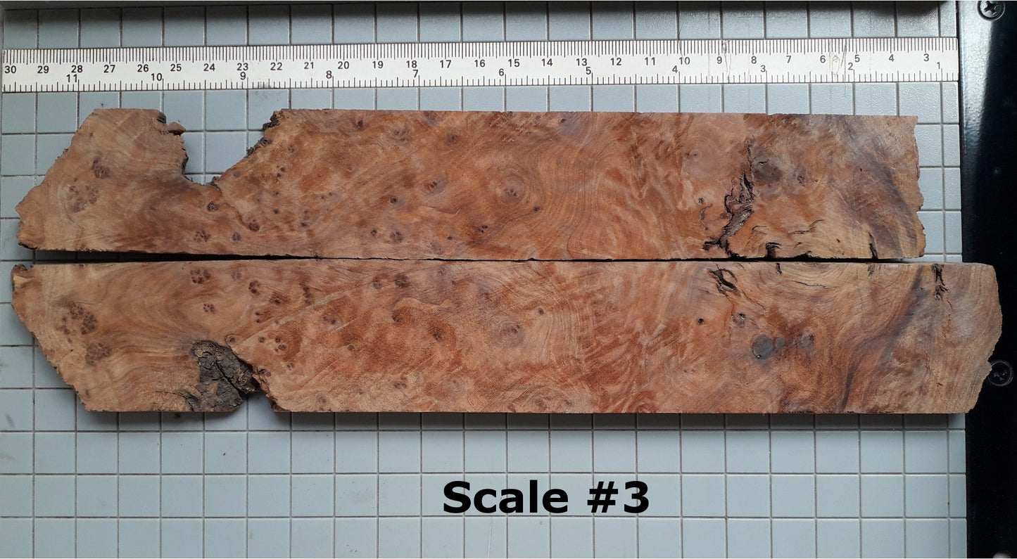 THUJA KNIFE SCALES