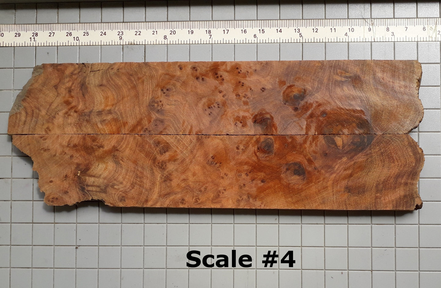 THUJA KNIFE SCALES