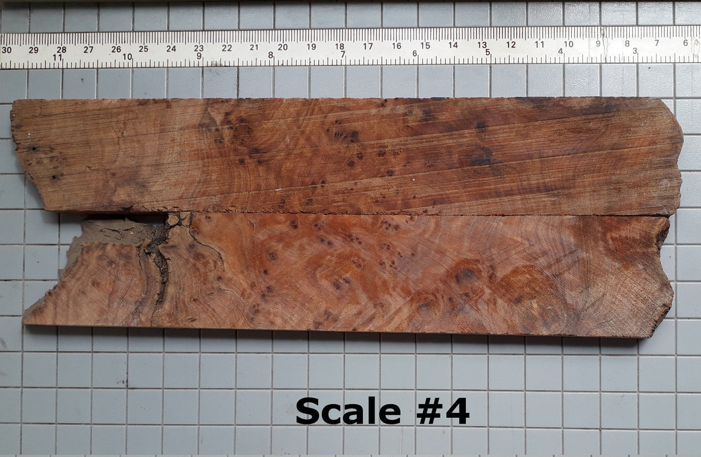 THUJA KNIFE SCALES