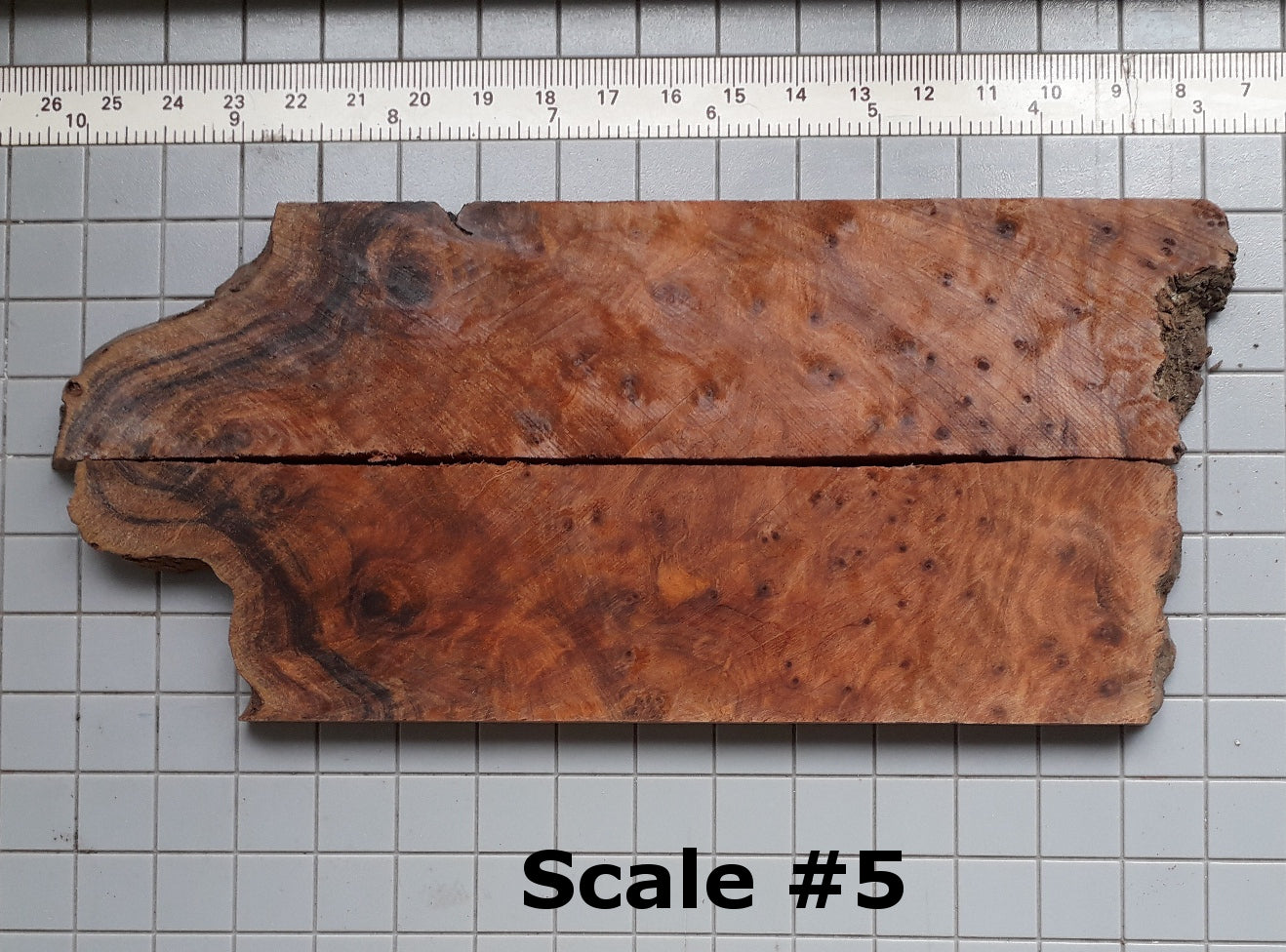 THUJA KNIFE SCALES