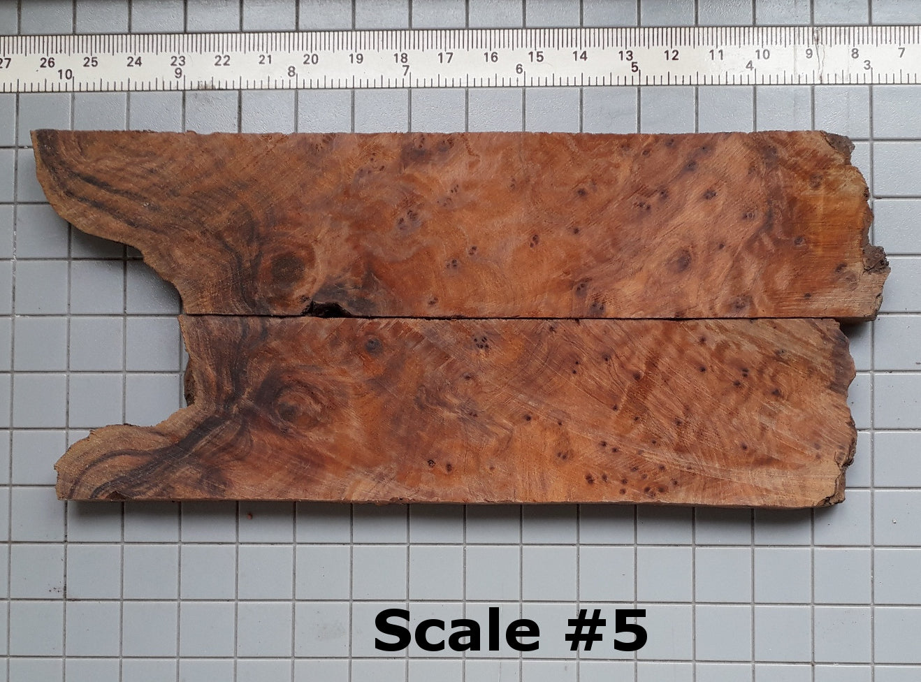 THUJA KNIFE SCALES