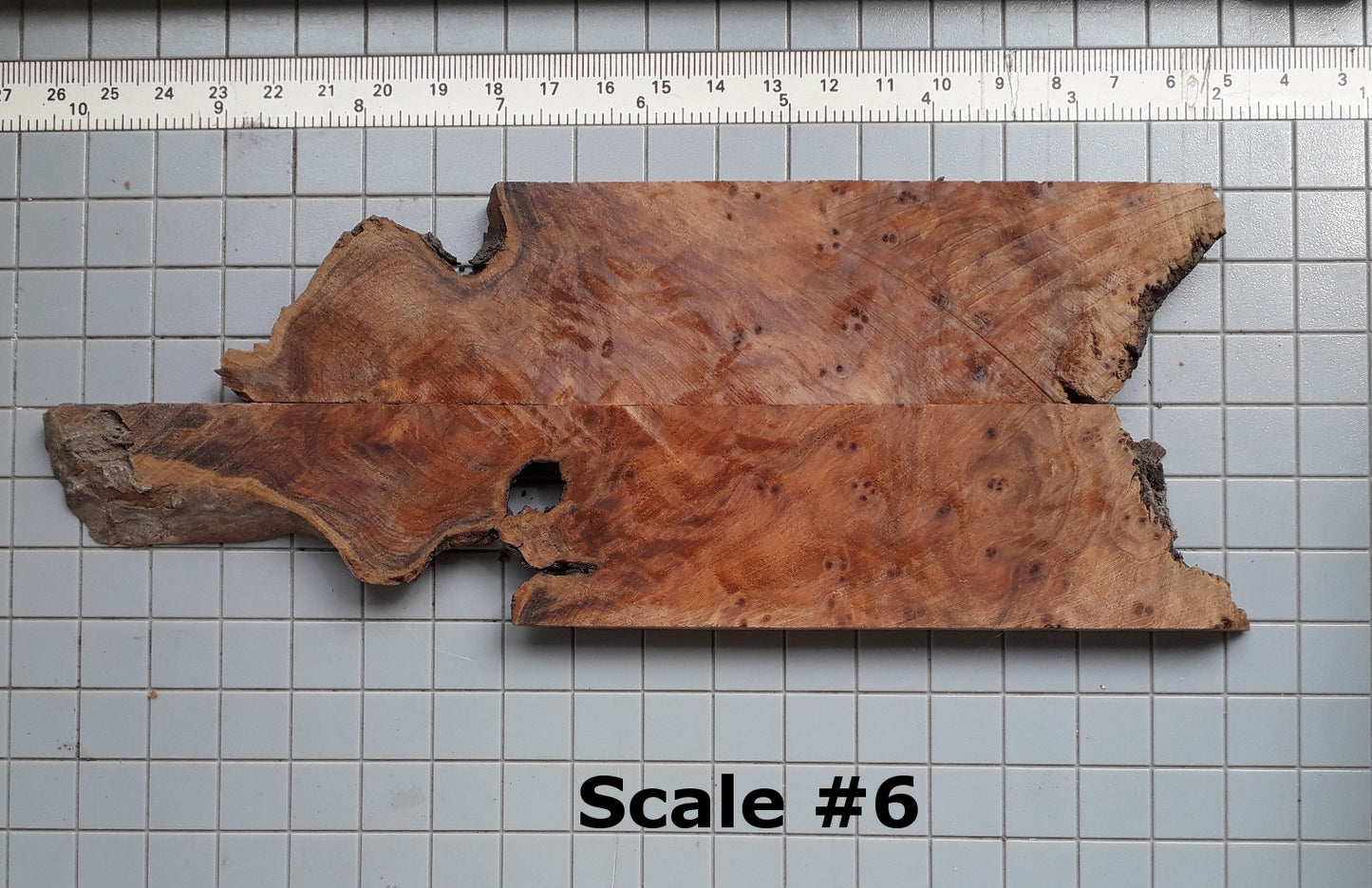 THUJA KNIFE SCALES
