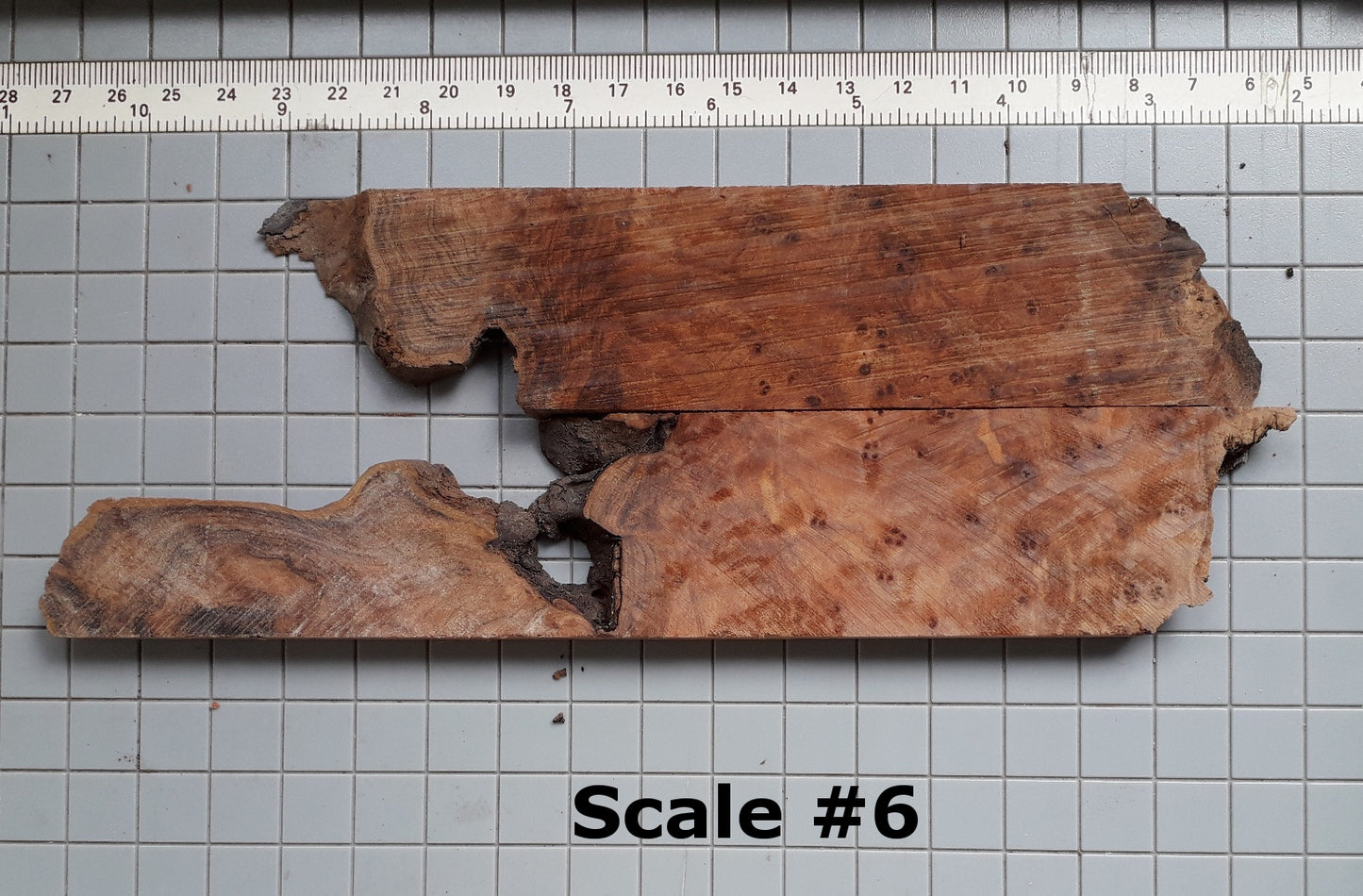 THUJA KNIFE SCALES