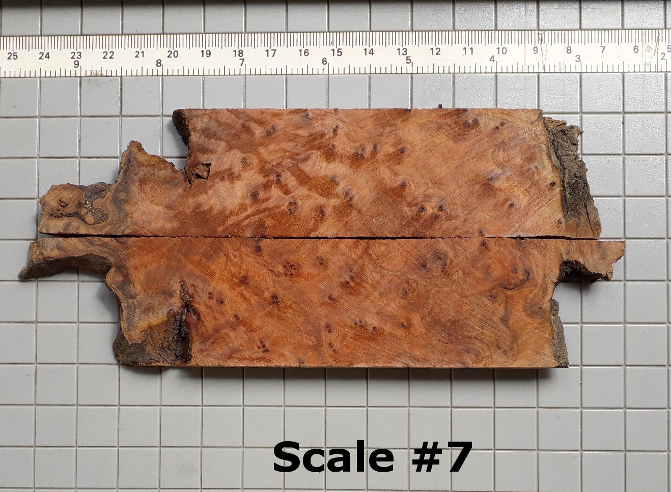 THUJA KNIFE SCALES