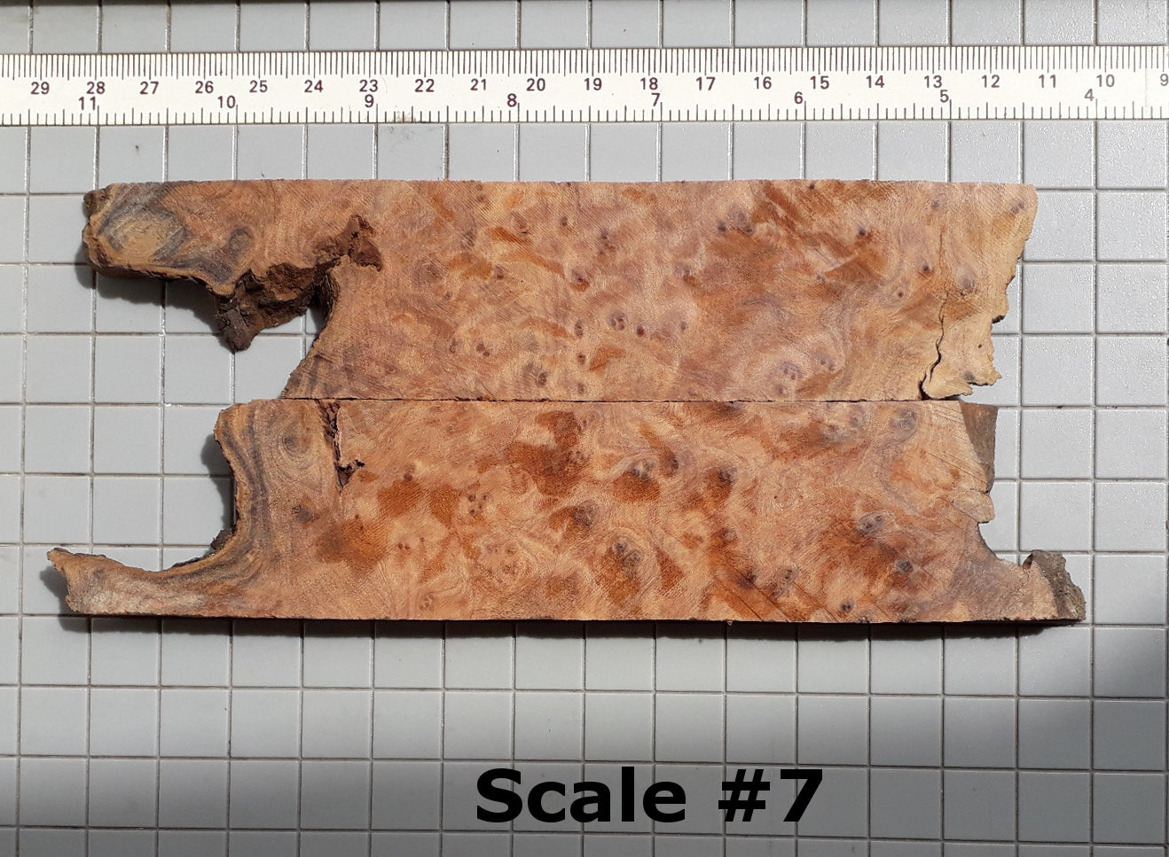 THUJA KNIFE SCALES
