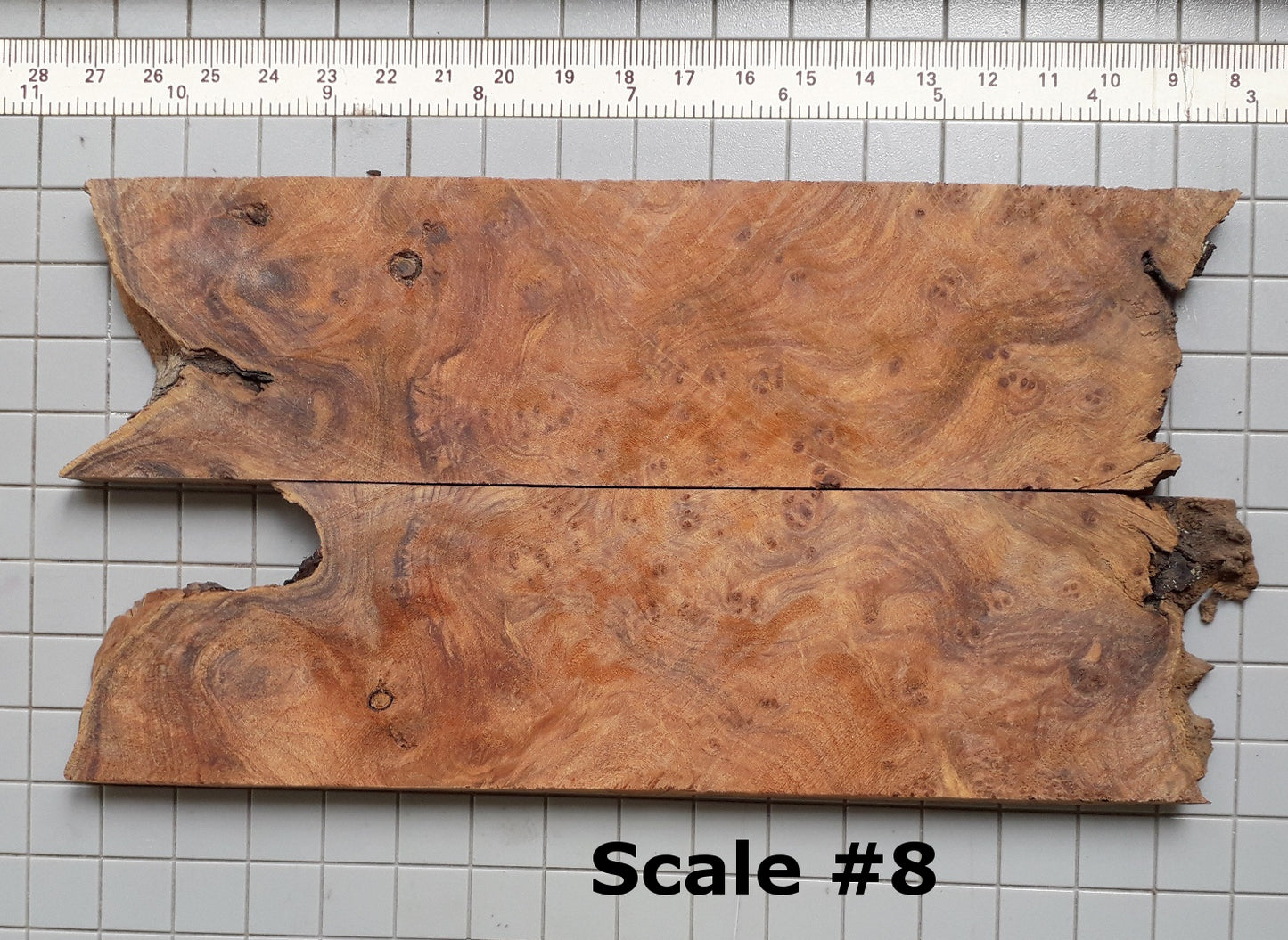 THUJA KNIFE SCALES