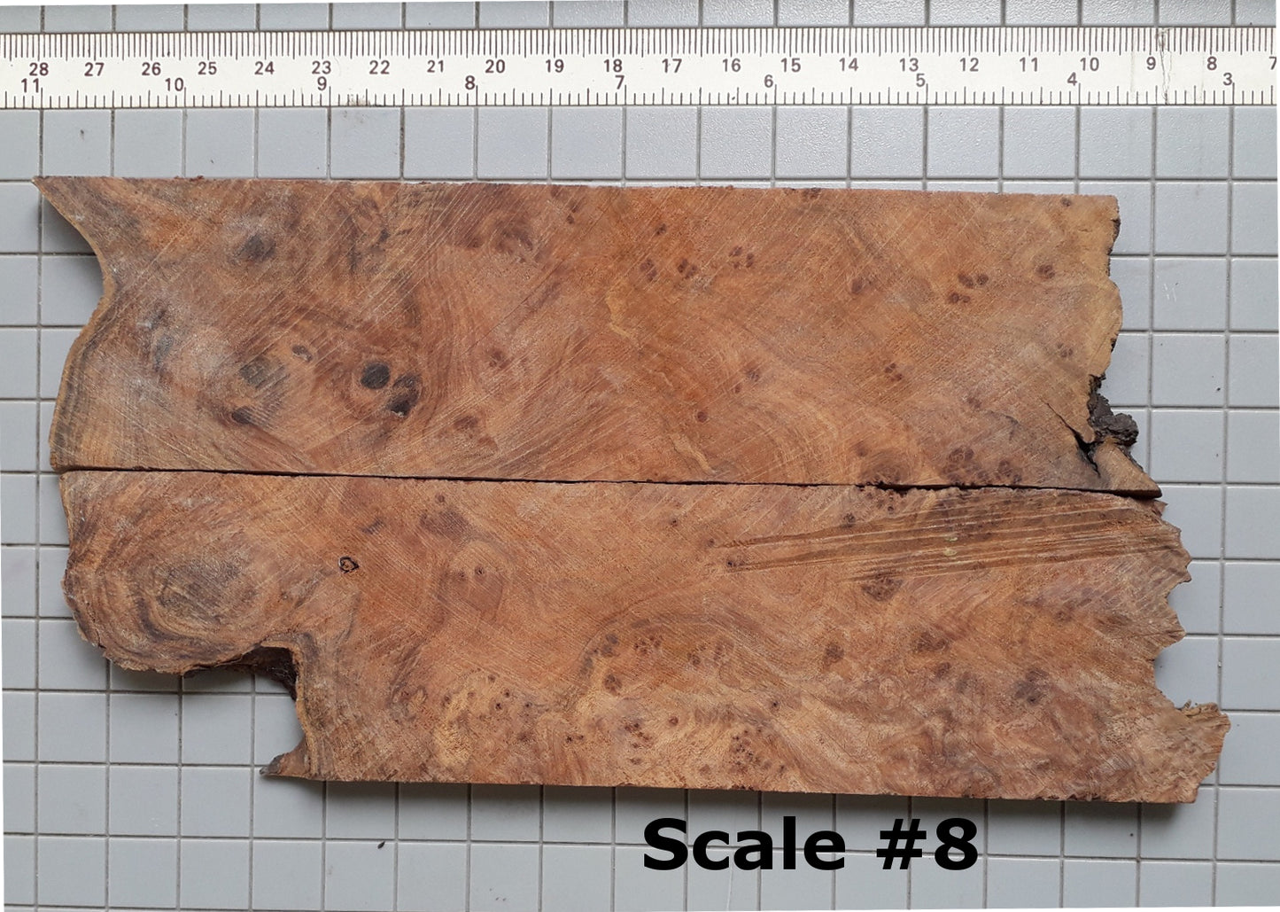 THUJA KNIFE SCALES