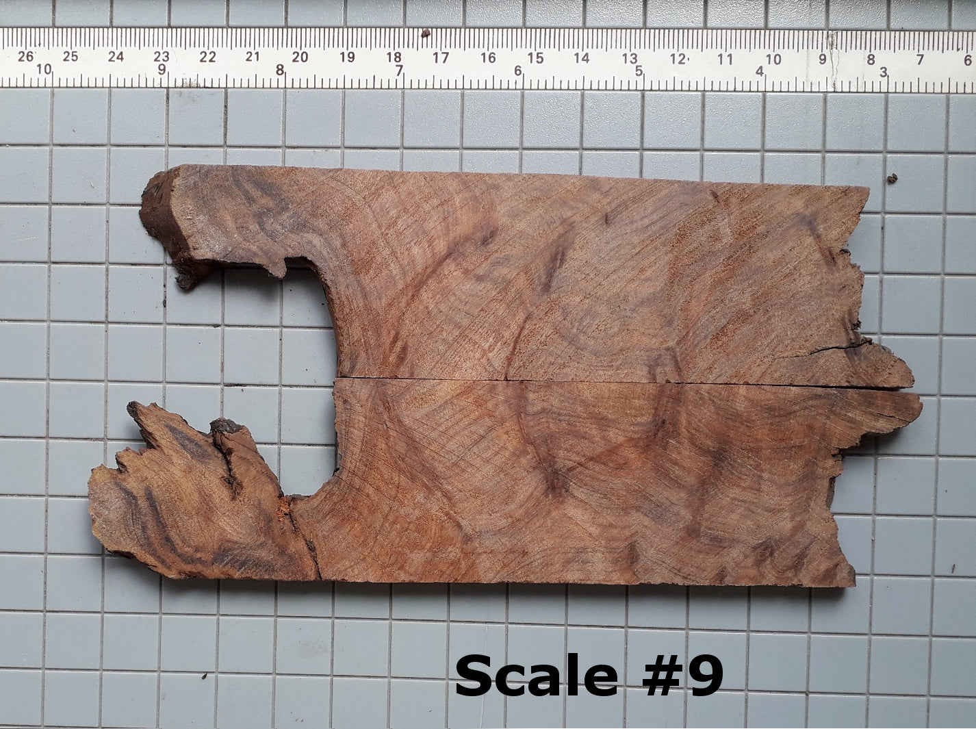 THUJA KNIFE SCALES
