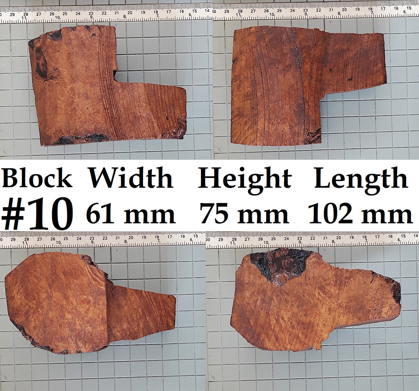 XL BRIAR BLOCKS (PLATEAUX & EBAUCHON)
