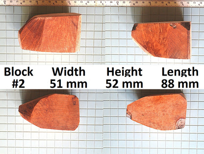 XL BRIAR BLOCKS (PLATEAUX & EBAUCHON)