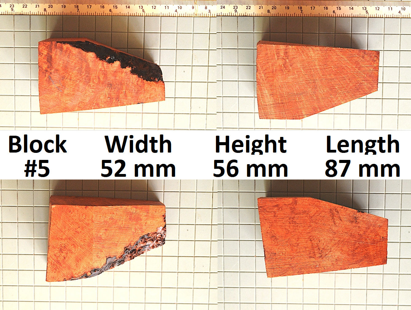 XL BRIAR BLOCKS (PLATEAUX & EBAUCHON)