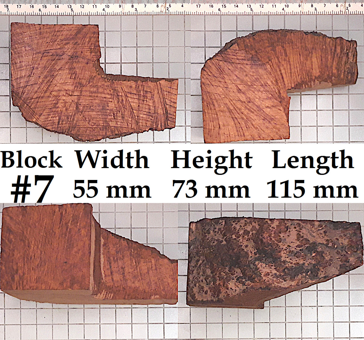 XL BRIAR BLOCKS (PLATEAUX & EBAUCHON)