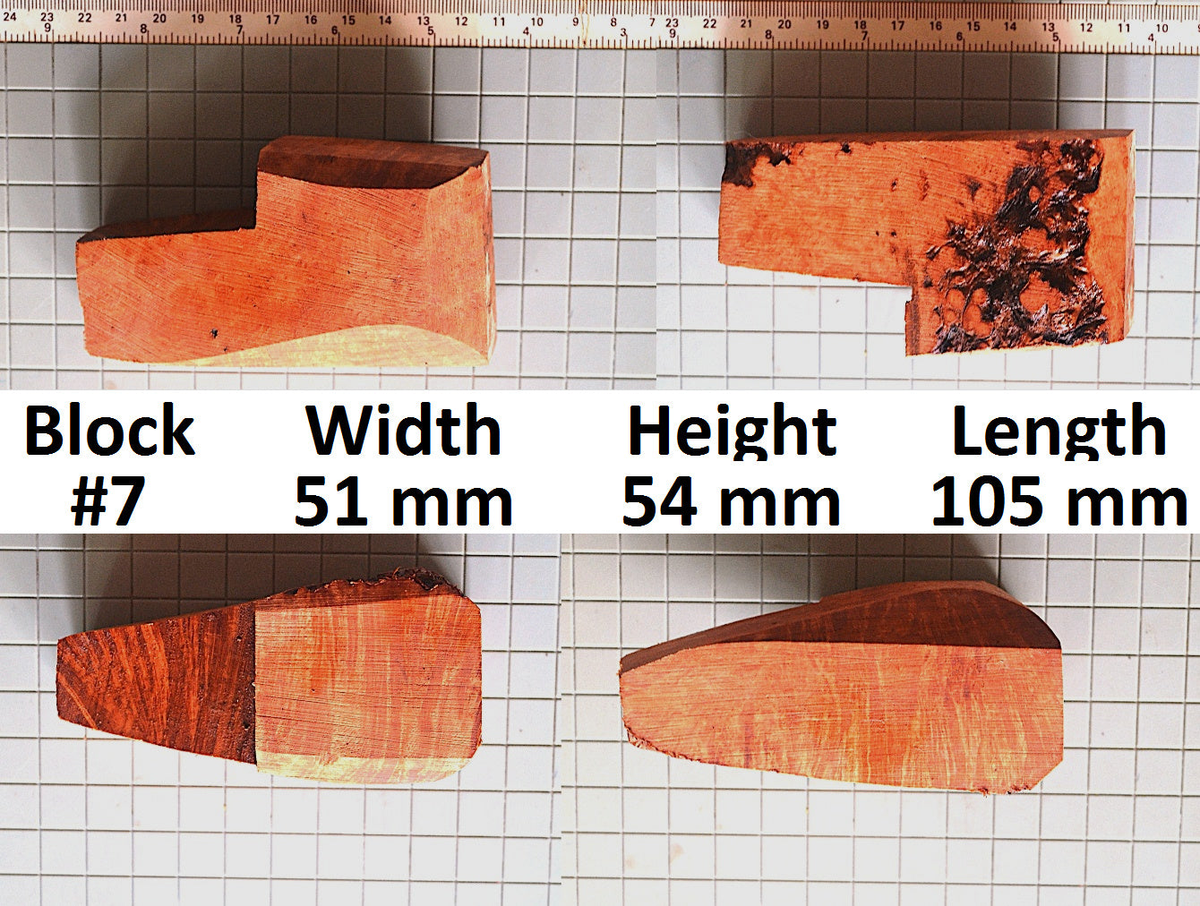 XL BRIAR BLOCKS (PLATEAUX & EBAUCHON)