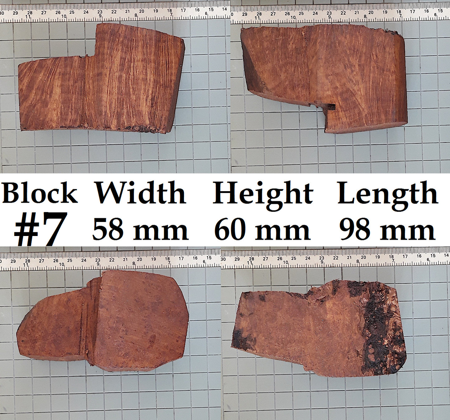 XL BRIAR BLOCKS (PLATEAUX & EBAUCHON)